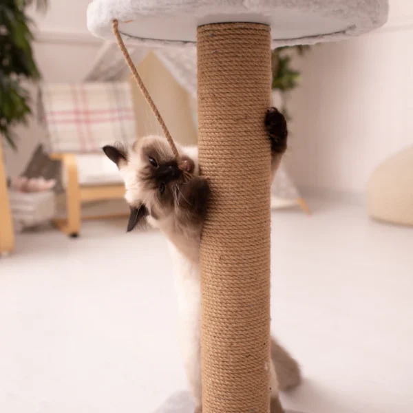 Modern Cat Tree Tower 52" — Pet Supplies at Peasley Store
