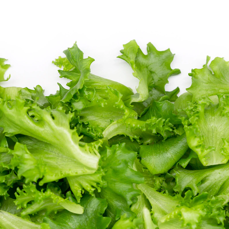 Organic Baby Spinach & Greens Blend β Fresh Produce at Peasley Store